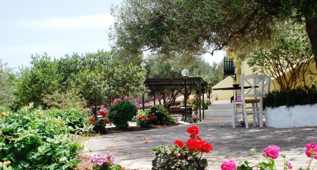 Katerina Charming Place Amoudara  Exterior foto